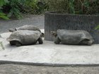 1068.jpg
