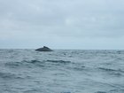 dscn1754.jpg