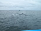 dscn1763.jpg