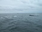 dscn1764.jpg