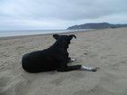 dscn1813.jpg