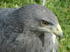 dscn2001.jpg