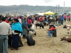dscn2125.jpg