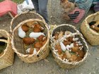 dscn2128.jpg