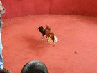 dscn2188.jpg